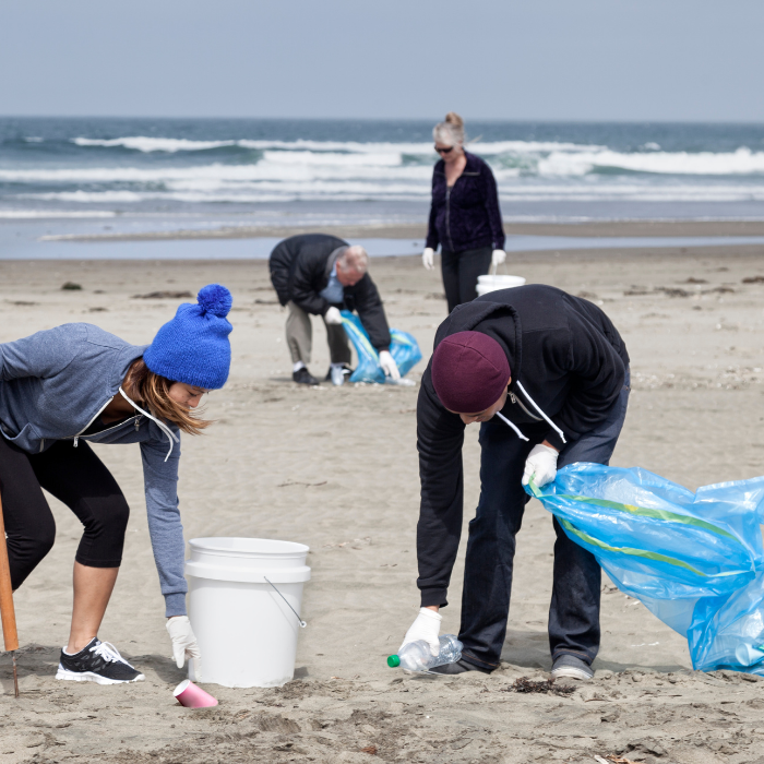 beach cleanup