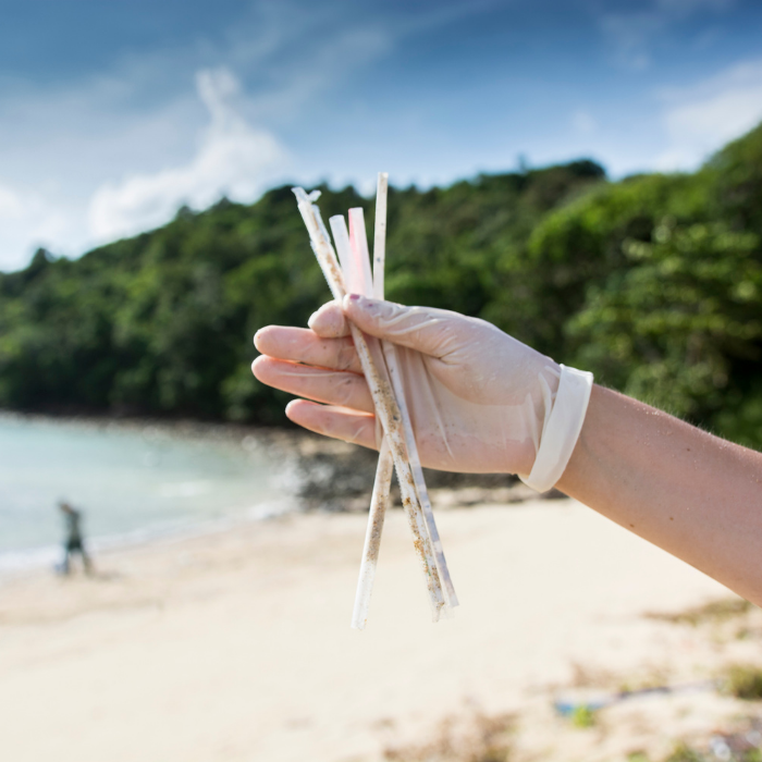 beach cleanup