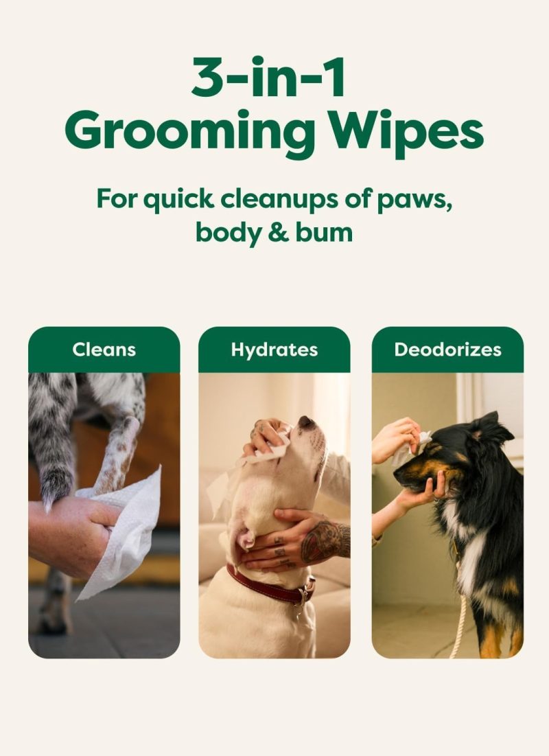 Earth Rated Dog Wipes_04