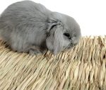 Grass Mat Woven Bed Mat_03