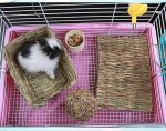 Grass Mat Woven Bed Mat_08