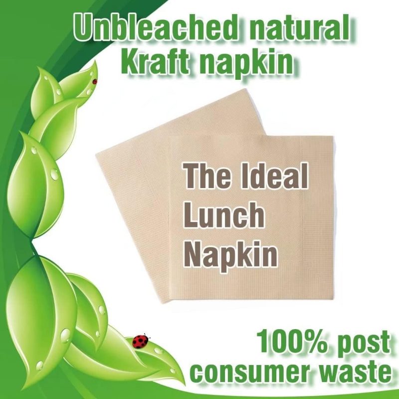 Recycled Post Consumer Napkins 2