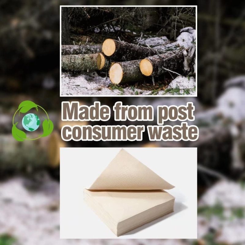 Recycled Post Consumer Napkins 4