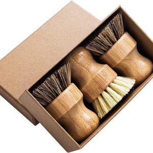 palm pot brush