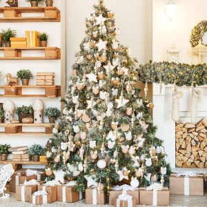 BBTO_24 _Pcs_ CW BO_ Boho Christmas Tree Ornaments- 02