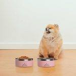 64 oz Dog Bowl Set_02