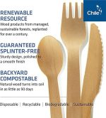 Compostable cutlery-04