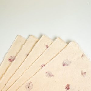 Handmade_ Reusable All Natural Gift_ WPACP_01