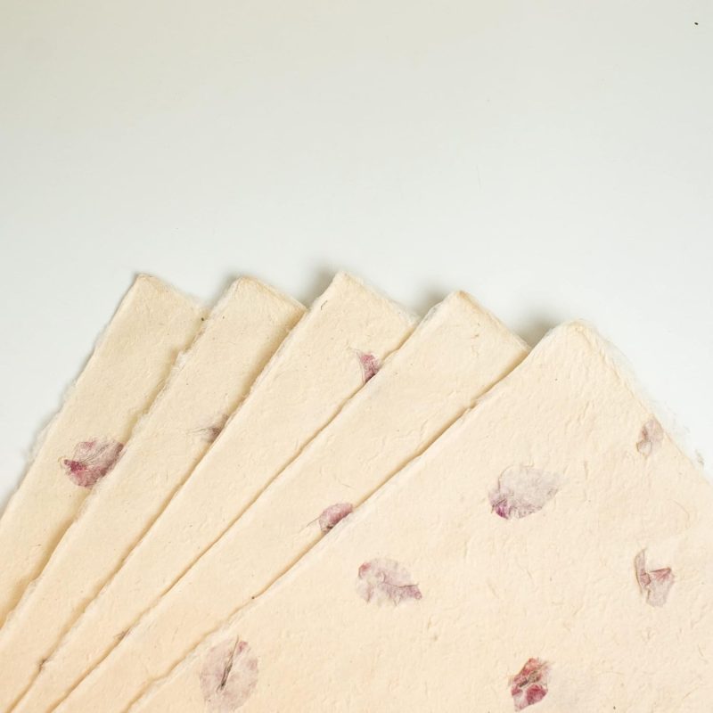 Handmade_ Reusable All Natural Gift_ WPACP_01