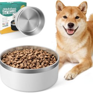 Stainless Steel Dog Bowl 1