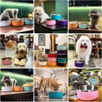 Stainless Steel Dog Bowl 8