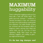 2 In 1 Dog Shampoo And Conditioner5