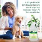 Biokleen Bac Out Pet Stain Remover2