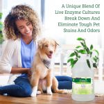 Biokleen Bac-Out Pet Stain Remover_02