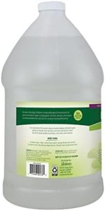 Biokleen Bac-Out Pet Stain Remover_08