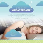 Buckwheat_TT_Pillow_03
