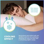 Buckwheat_TT_Pillow_06