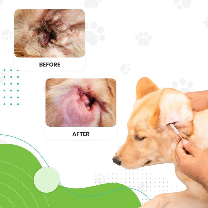 Dog Ear Cleaning Solution Kit-06
