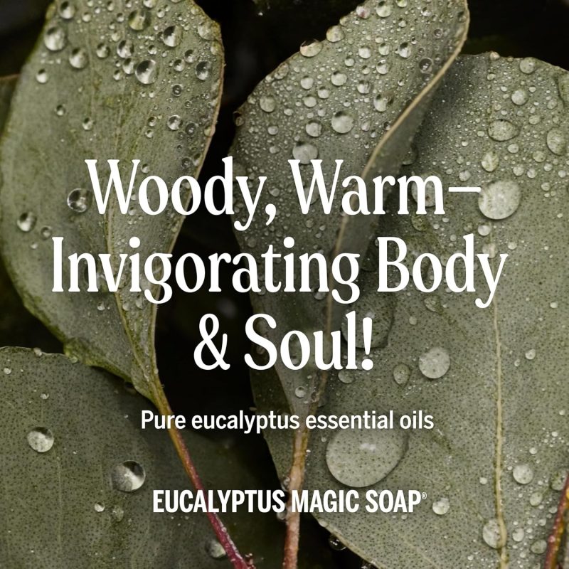 Dr. Bronners Pure Castile Soap-5