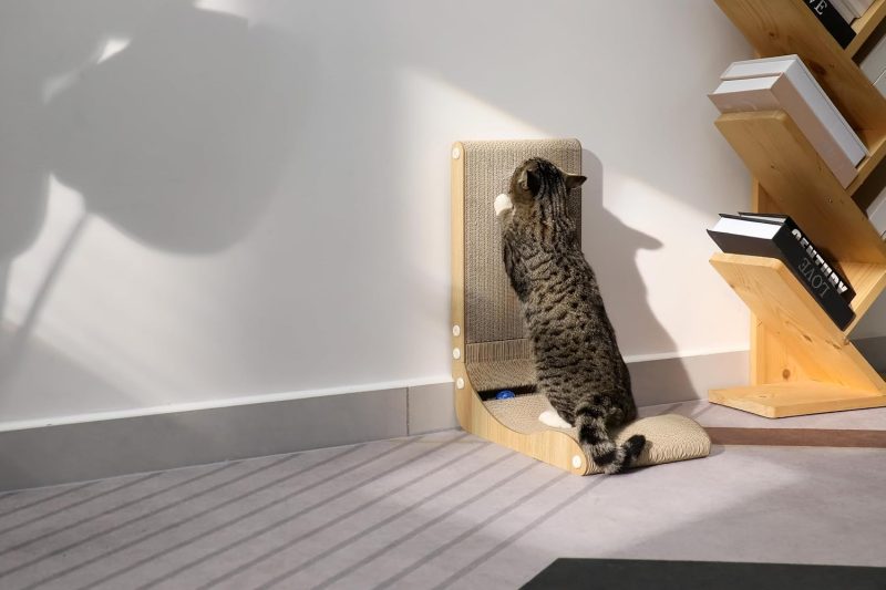 Eco Friendly Cat Scratcher3