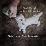 Goat Milk Bar Soap-05