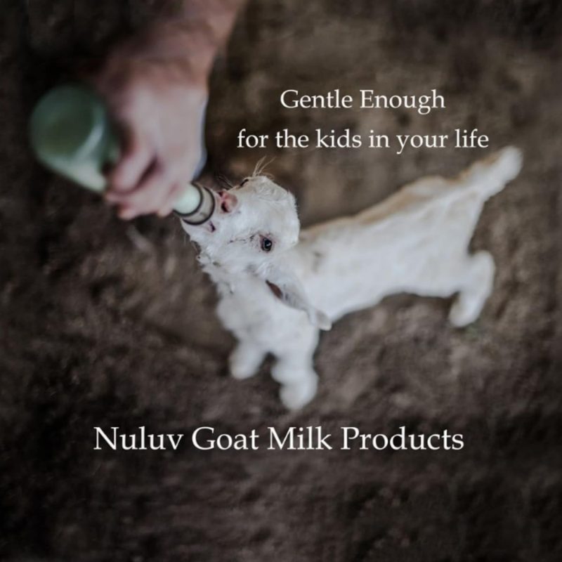 Goat Milk Bar Soap-05