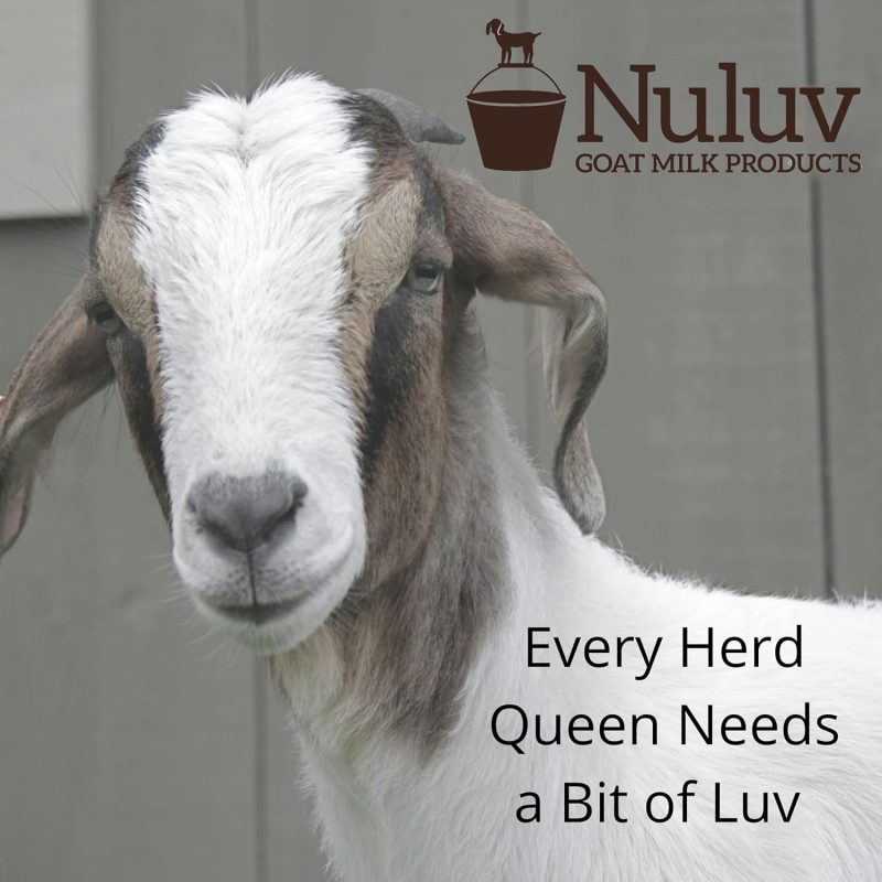 Goat Milk Bar Soap-06