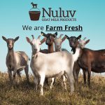 Goat Milk Bar Soap-07