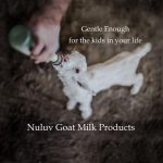 Goat Milk Bar Soap4