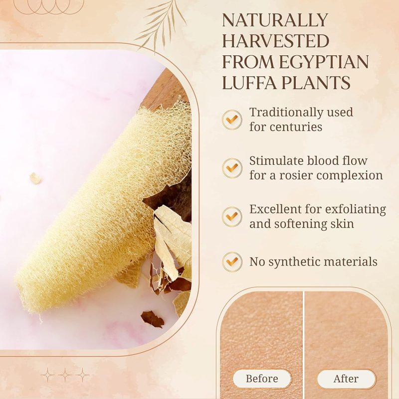 Natural Loofah Sponge7