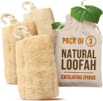 Natural Loofah Sponge_01