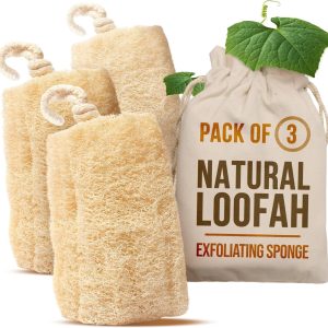 Natural Loofah Sponge_01