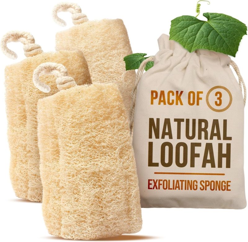 Natural Loofah Sponge_01