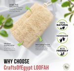 Natural Loofah Sponge_03
