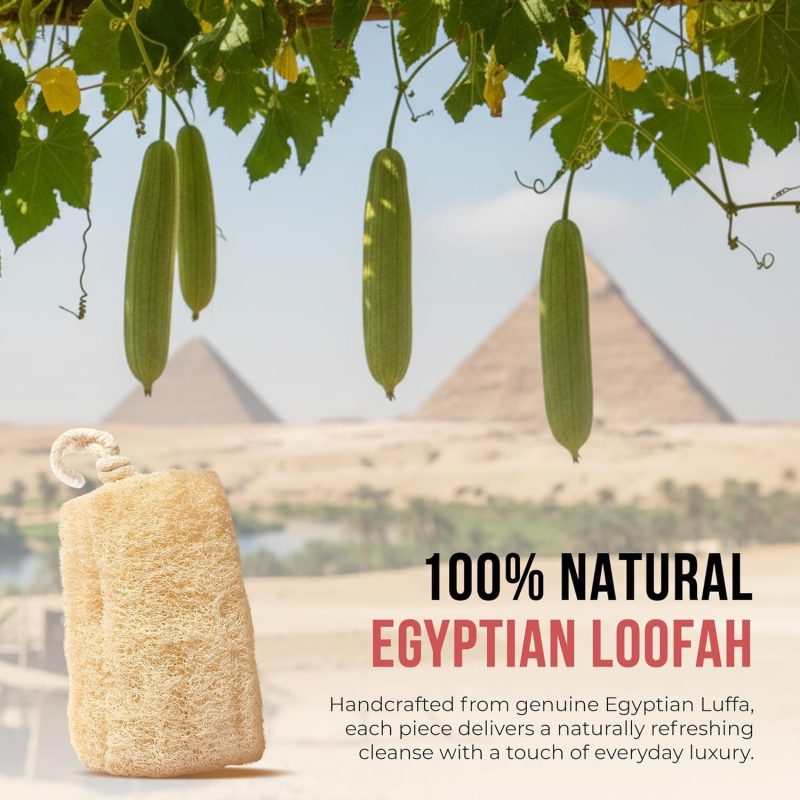 Natural Loofah Sponge_05