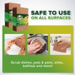Natural Scouring pads-6