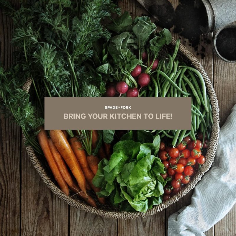 Organic Vegetable Garden Starter Kit 3