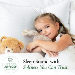 Premium Queen Size Bed Pillows 4
