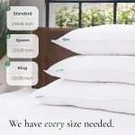 Premium Queen Size Bed Pillows 9