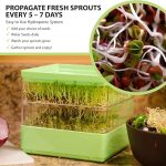 Seed Sprouter Kit 3