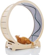 Star Cat Wheel 1