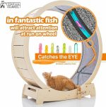 Star Cat Wheel 2