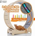 Star Cat Wheel 3