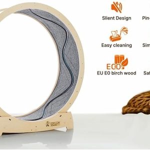 Star Cat Wheel 5
