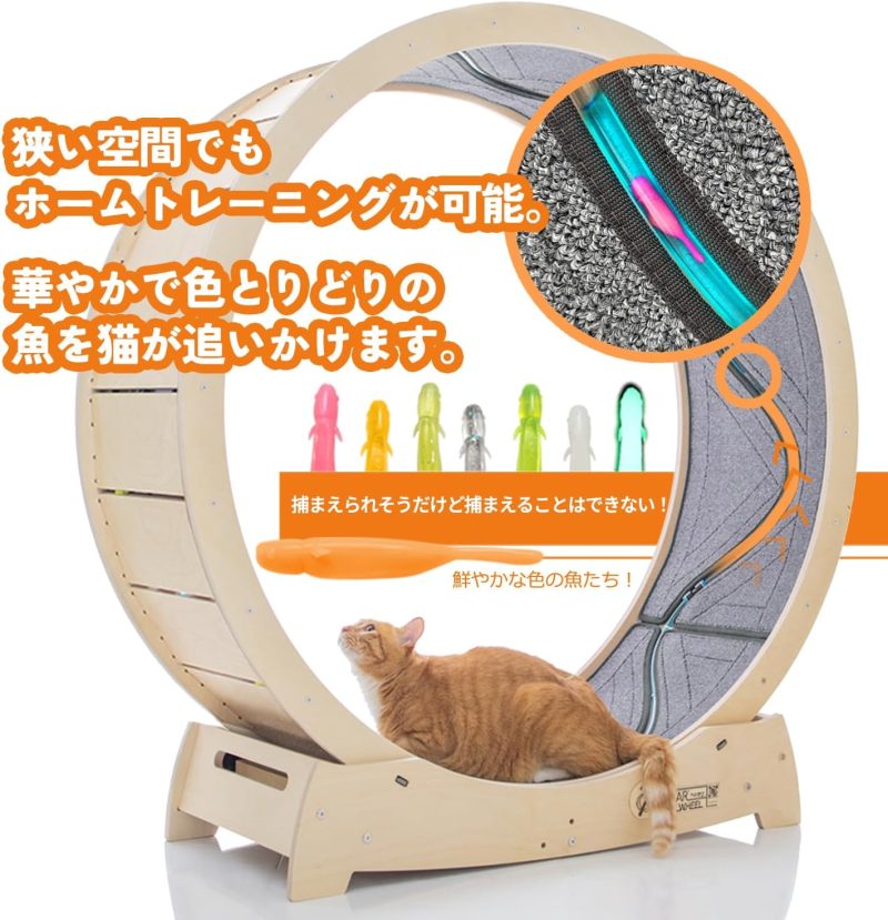 Star Cat Wheel2