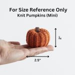 mini pumpkin decor_09