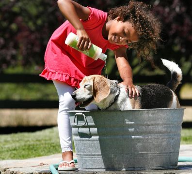 2 In 1 Dog Shampoo And Conditioner6