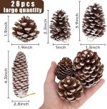 JOHOUSE Natural Pine Cones with Snow