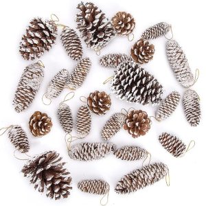 JOHOUSE Natural Pine Cones with Snow