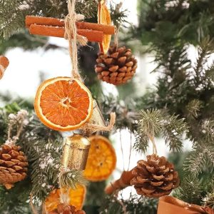 Natural Orange Slices, Cinnamon & Pinecones Set with Jute Hangers